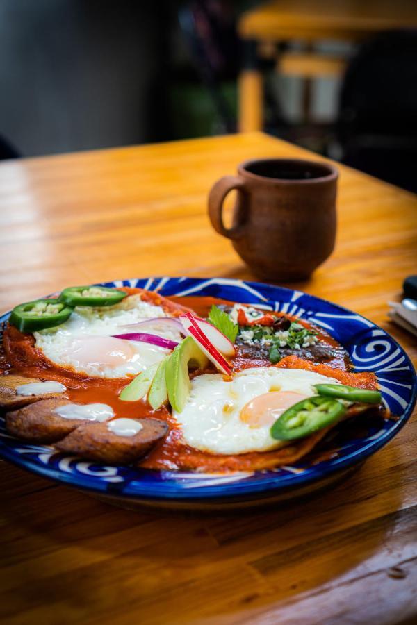 Hotel Suculenta Boutique San Cristobal de las Casas Ngoại thất bức ảnh